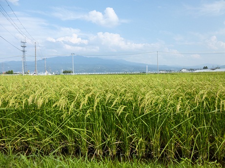 P1000231.JPG
