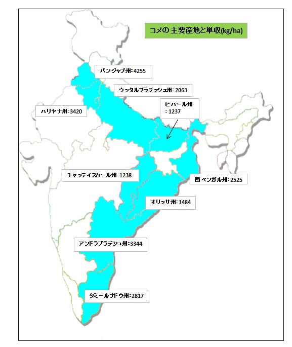 インド米主要産地と単州.jpg