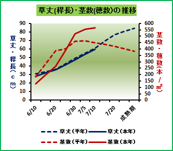 成育図（7月10日）.png