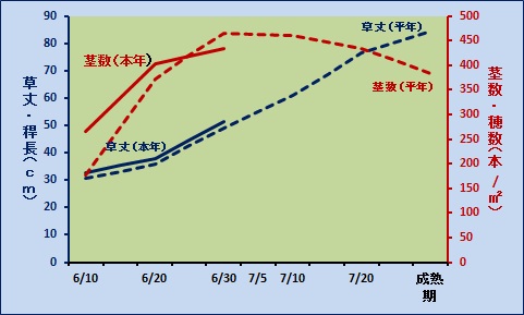成育図6月30日.jpg