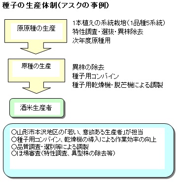 種子生産体制.jpg