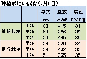 ）疎植(７月6日.jpg