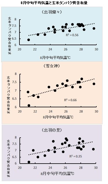 8月気温とタンパク含有量.jpg