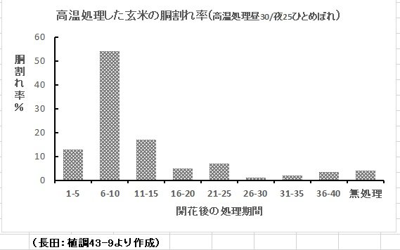 出穂後高温と胴割れ.jpg