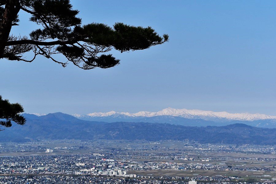 DSC_0034 - コピー.JPG