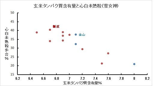 タンパクと心白未熟粒（2）.jpg