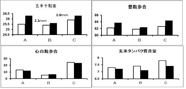 ふるい目（3）.jpg