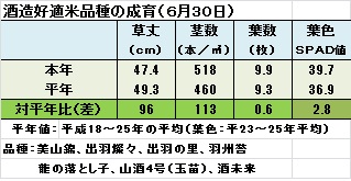 6月30日成育（平26）.jpg