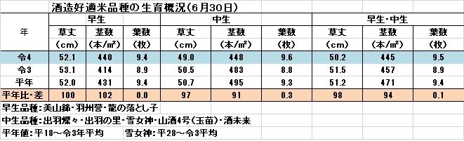 6月30日（令4）.jpg