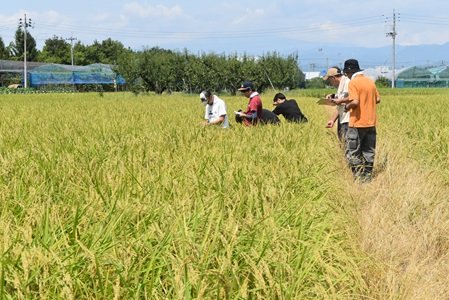 12-1 - コピー.JPG