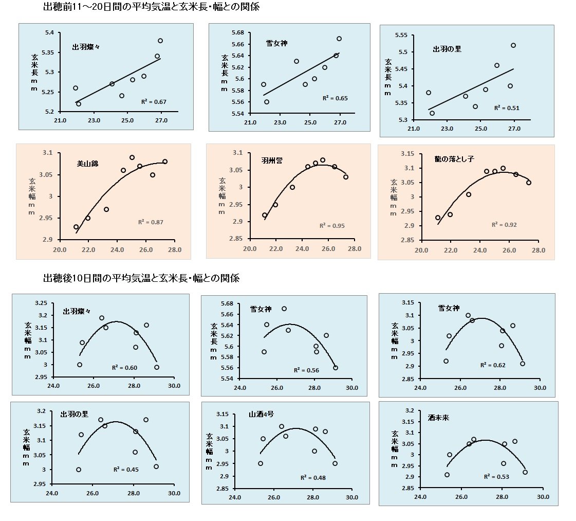 気温と玄米形状.jpg