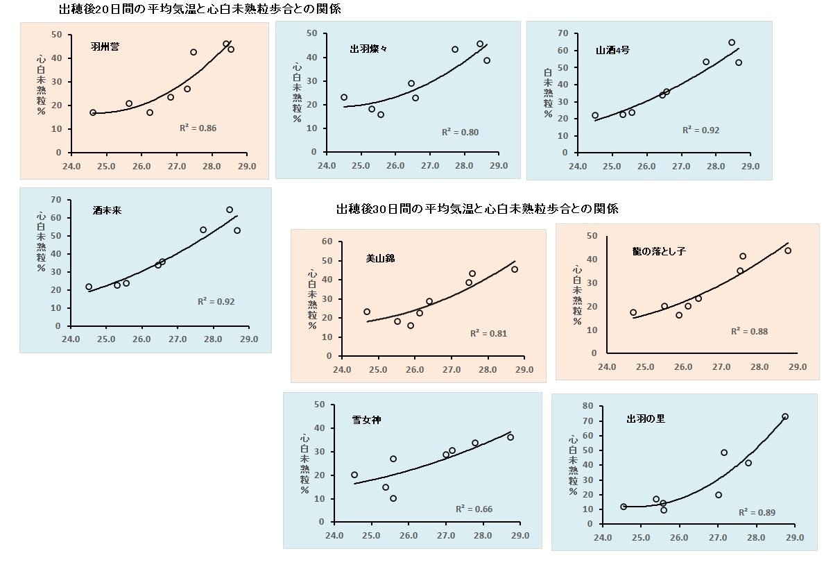 出穂後気温と心白未熟粒歩合.jpg