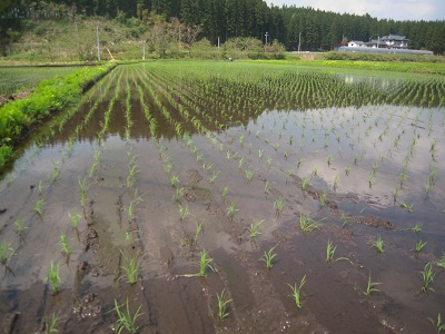 DSCN5307.JPG