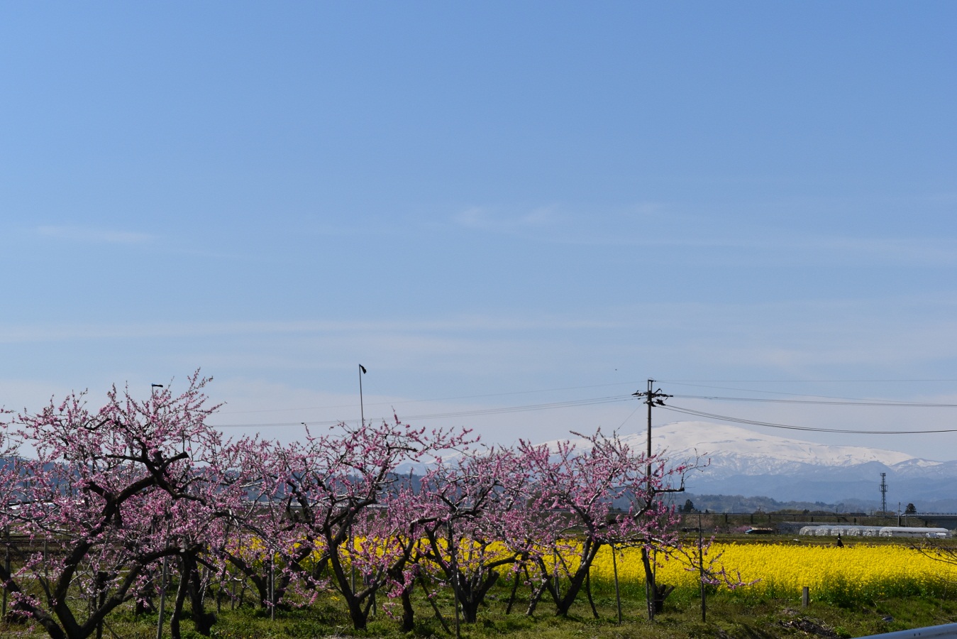 DSC_0153.JPG