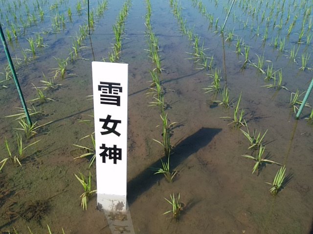 IMG_20240523_080334 (1).jpg