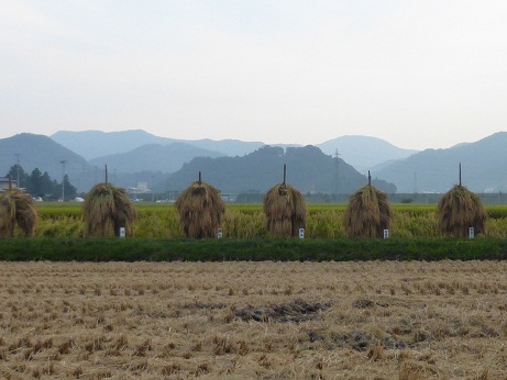 P1000342.JPG
