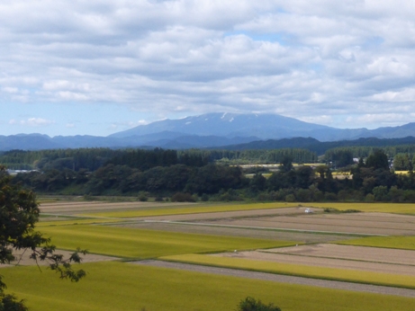 P1000413.JPG