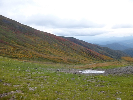 P1000461.JPG
