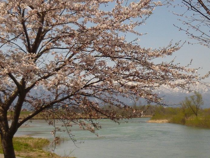 P1020012 - コピー.JPG