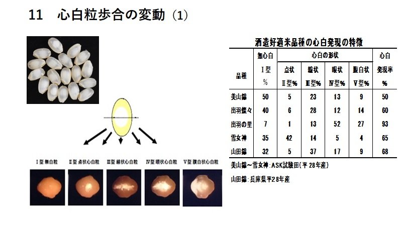 P11.jpg