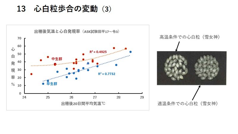 P13.jpg