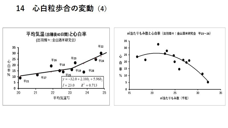 P14.jpg