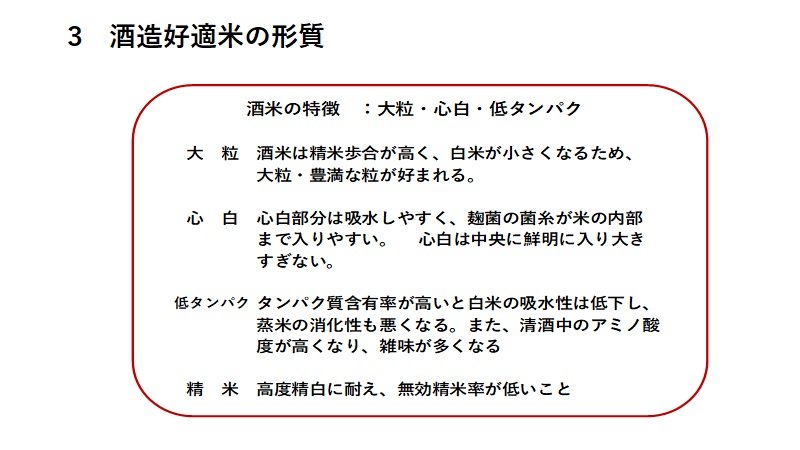 P3.jpg