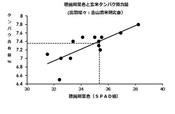 葉色(2).jpg
