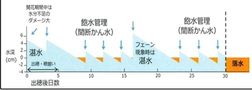 ゆびきり2.jpg