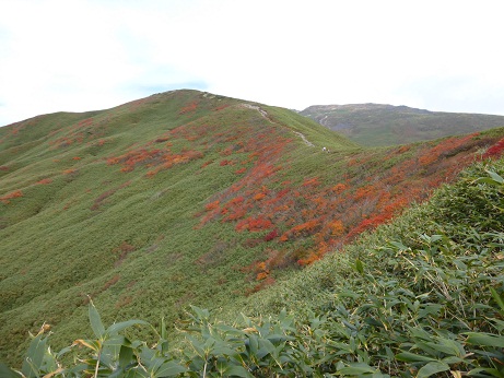 P1000462.JPG