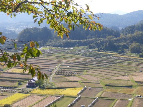 P1000487.JPG