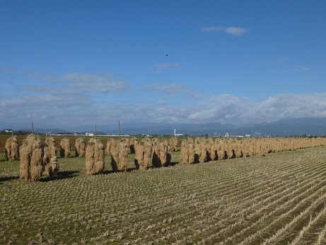 P1000511.JPG