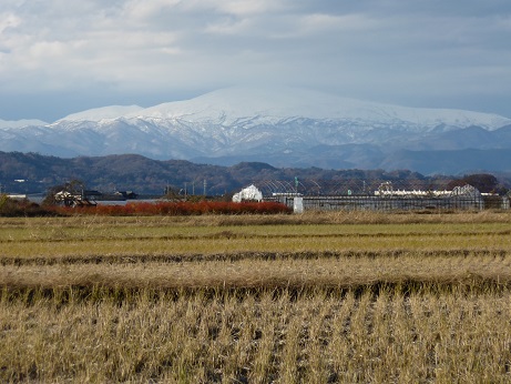 P1000567.JPG
