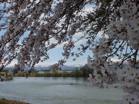 P1000949 - コピー.JPG