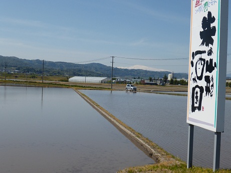 P1020129.JPG