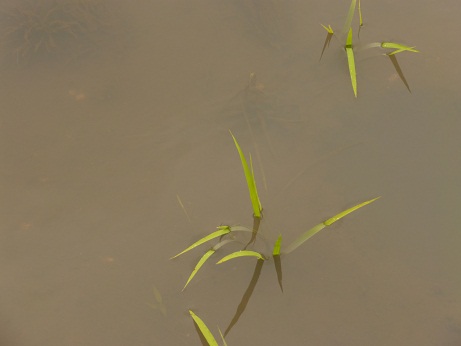 P1020156.JPG