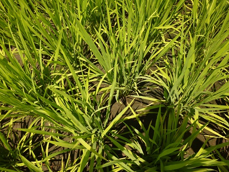 P1020410.JPG