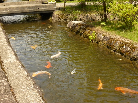 P1020416.JPG