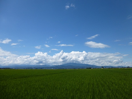 P1020447.JPG