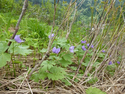 P1020462.JPG