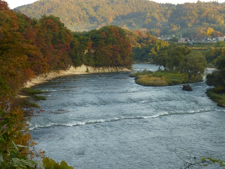 P1020981 - コピー.JPG