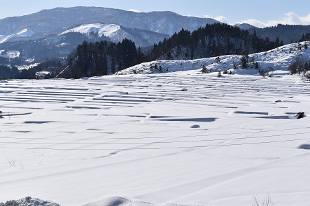 DSC_0059.JPG