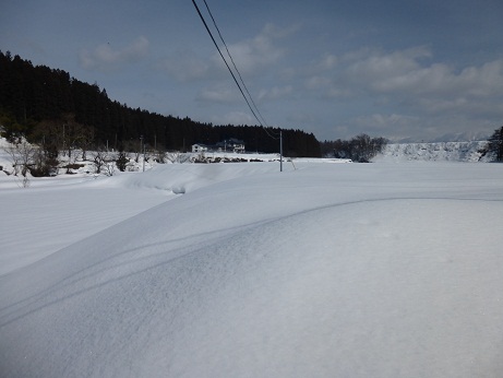 P1030298.JPG