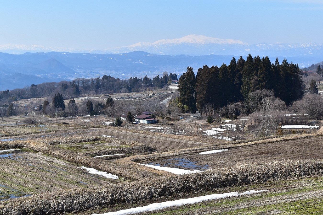DSC_0265 - コピー.JPG
