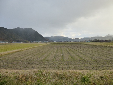 P1030316.JPG