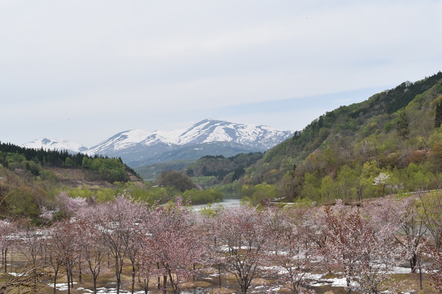 DSC_0172 - コピー.JPG