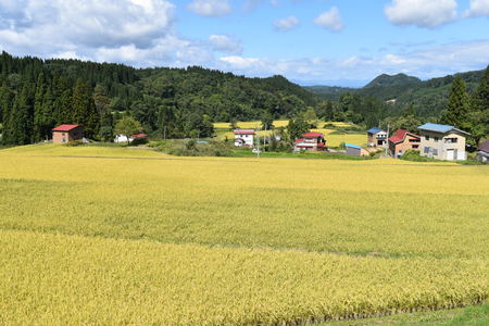 DSC_0969 - コピー.JPG