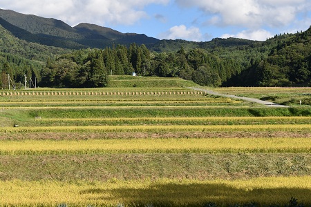 DSC_0987 - コピー.JPG