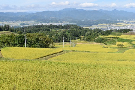 DSC_1013 - コピー.JPG