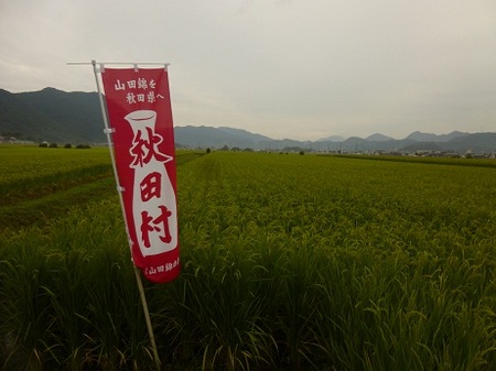 P1030529.JPG